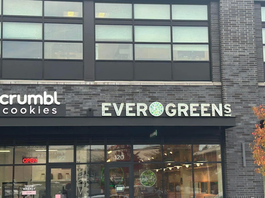 Evergreens图片
