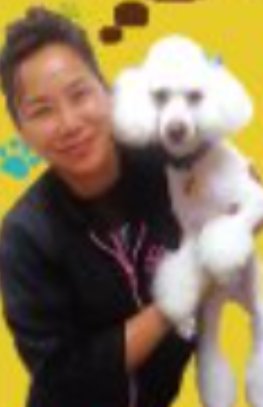 Yappy Dog Pet Grooming