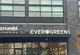 Evergreens