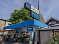 Flying Fish Company
