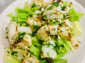 Gastro Mania