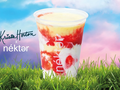 Nekter Juice Bar