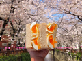 Tokyo Sando