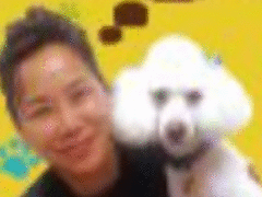Yappy Dog Pet Grooming