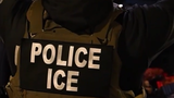 ICE突袭现代工厂 475人被捕！韩方：强烈关切
