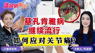 基孔肯雅病继续流行如何应对关节痛？《洛城情报站》2025.08.15